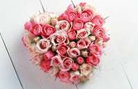 Muhteşem Mersin Grup Escort'la Zevkin Doruklarına Yolculuk